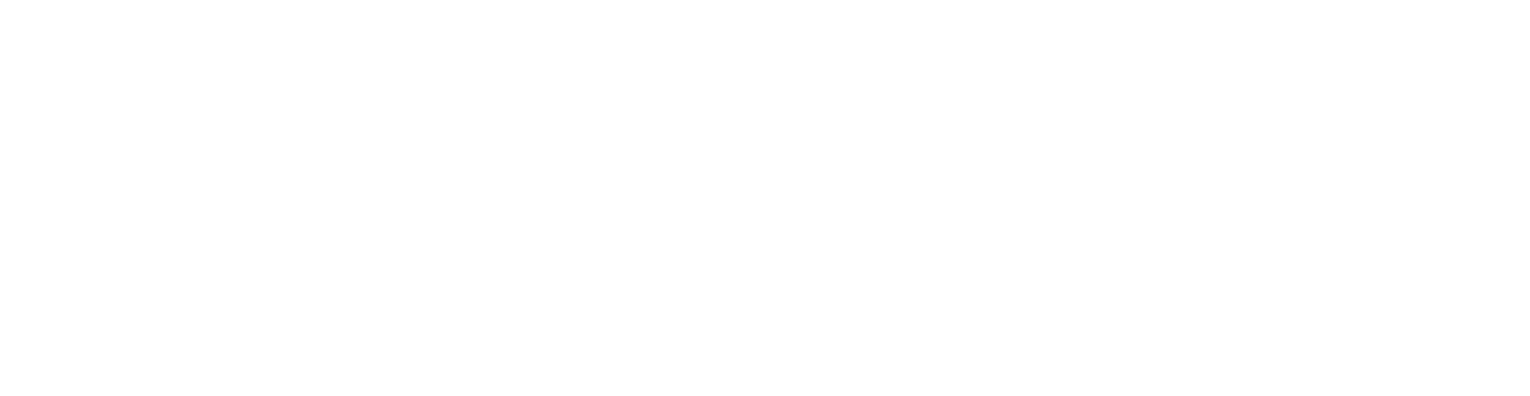 Audioserv Logo